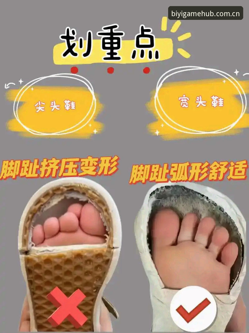 必一体育新手教程下载遇阻？2024最新解决方案与操作指南